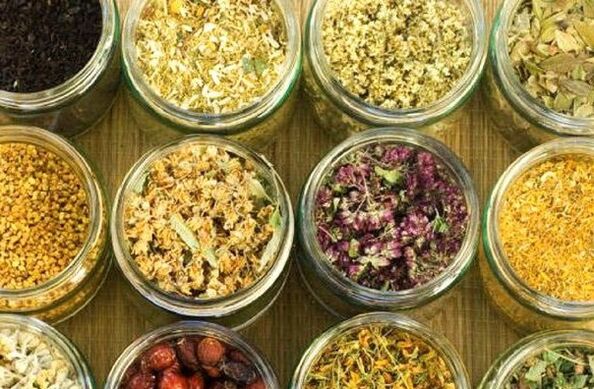 pulire il corpo dai parassiti usando rimedi popolari