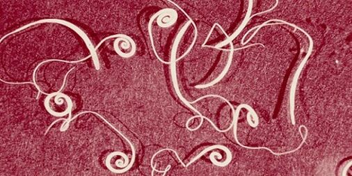 foto di parassiti del corpo umano