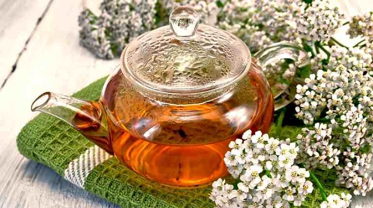 Decotto di achillea, che ha un effetto antiparassitario