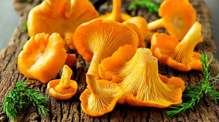 I finferli sono funghi che possono purificare il corpo dagli elminti