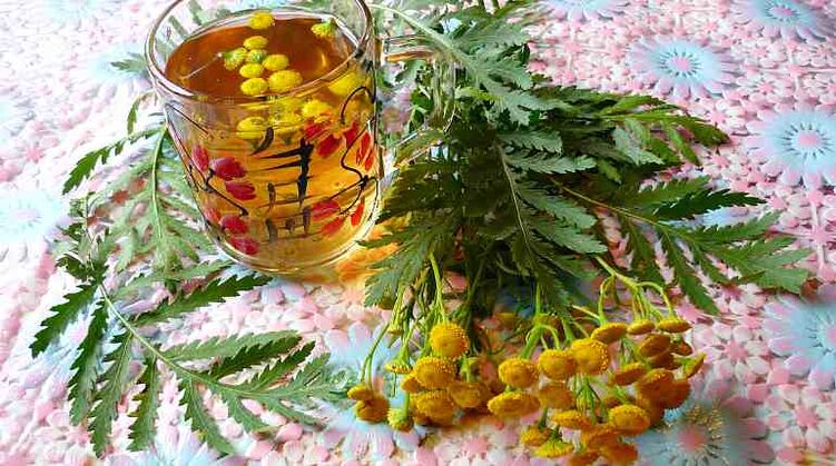 L'infuso di tanaceto aiuterà a espellere i parassiti dal corpo