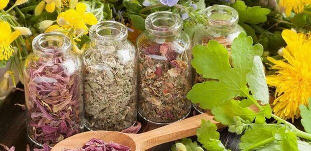erbe per purificare il corpo dai parassiti